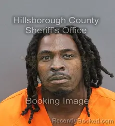 Mugshot of WALTER LEE JR GORDON booked in Hillsborough County, Florida on July 16, 2026