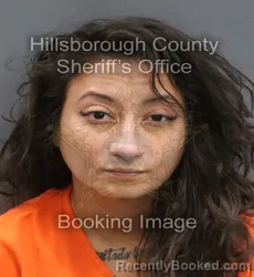 Mugshot of ANNAMARIE SASSO booked in Hillsborough County, Florida on July 16, 2026