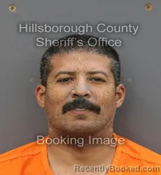 Mugshot of RYAN HODGE