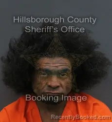 Booking photo from Hillsborough County, Florida