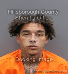 Mugshot of JOHNNIE BENJAMIN JR BOGAN