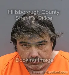 Booking photo from Hillsborough County, Florida