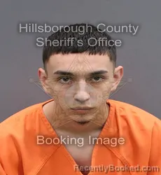 Booking photo from Hillsborough County, Florida