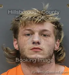 Mugshot of WILLIAM HENRY WHIPPLE