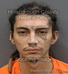 Mugshot of NATHAN VEGA