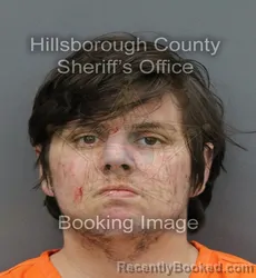 Mugshot of DENNIS JOSEPH JR KIRKPATRICK