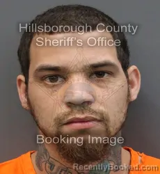 Mugshot of LUIS ALICEA