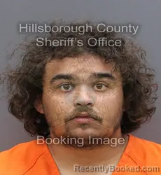 Mugshot of CHARLES LOGAN LONG