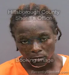 Mugshot of FRANCEIDA DELORES IGLES