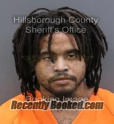 Booking photo from Hillsborough County, Florida
