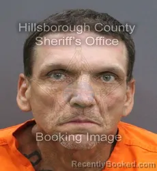 Mugshot of Michael William Hoke booked in Hillsborough County, Florida on August 1, 2026