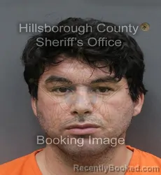 Mugshot of Bosko Cristian Curich Denegri booked in Hillsborough County, Florida on August 1, 2026
