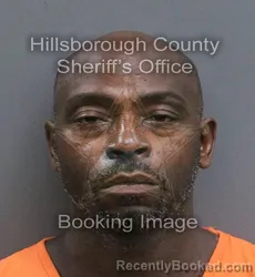 Mugshot of Demetrius Octavius Green booked in Hillsborough County, Florida on August 1, 2026