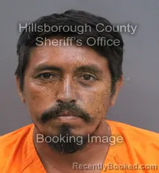 Mugshot of Freddy Joel Lopez Aguilar booked in Hillsborough County, Florida on August 1, 2026