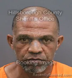 Mugshot of Felix Enrique Pena Cespedes booked in Hillsborough County, Florida on August 1, 2026