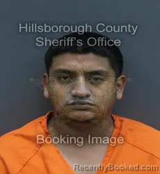 Mugshot of Anthony Efrain Becerra booked in Hillsborough County, Florida on August 1, 2026