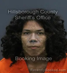Mugshot of Yulian Torres Lugo booked in Hillsborough County, Florida on August 1, 2026