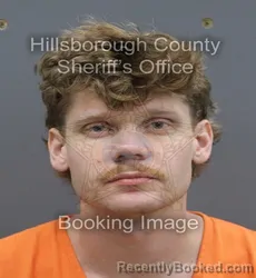 Mugshot of Elijah James Hassett booked in Hillsborough County, Florida on August 1, 2026