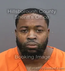 Mugshot of Taylor David Furman booked in Hillsborough County, Florida on August 1, 2026