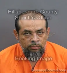Mugshot of Edwin Armando Estevez Hernandez booked in Hillsborough County, Florida on August 1, 2026