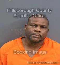 Mugshot of Marc Sylvester Cohen booked in Hillsborough County, Florida on August 1, 2026