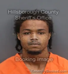 Mugshot of Jayvion Antonio Canady booked in Hillsborough County, Florida on August 1, 2026