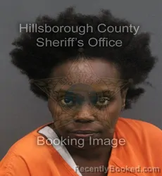 Mugshot of Tatyana Yanaleys Jahanna Shabazz booked in Hillsborough County, Florida on August 1, 2026