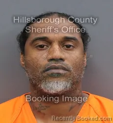 Mugshot of Michael Amasia Perkins booked in Hillsborough County, Florida on August 1, 2026