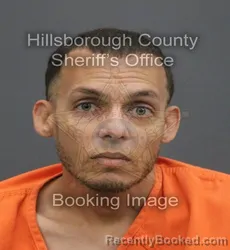 Mugshot of John Carlos Fernandez booked in Hillsborough County, Florida on August 1, 2026
