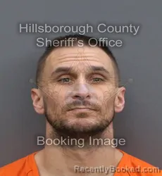Mugshot of Curtis Randall Mchenry booked in Hillsborough County, Florida on August 1, 2026