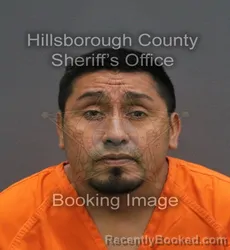 Mugshot of Orlando Lopez Hernandez booked in Hillsborough County, Florida on August 1, 2026