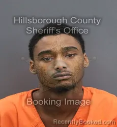 Mugshot of Ty Varius Dewayne Young booked in Hillsborough County, Florida on August 1, 2026