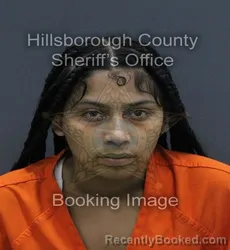 Mugshot of Anayaliz Milady Dorsey-Criado booked in Hillsborough County, Florida on August 1, 2026