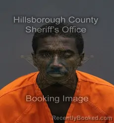 Mugshot of Tarance Wayne Newkirk booked in Hillsborough County, Florida on August 1, 2026