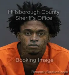 Mugshot of George Lamar Jr Archie booked in Hillsborough County, Florida on August 2, 2026