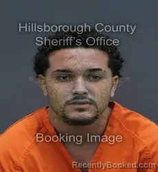 Mugshot of Jayden Michael Santana booked in Hillsborough County, Florida on August 2, 2026