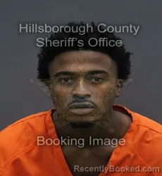 Mugshot of MALACHI AJ-DALON ARSON booked in Hillsborough County, Florida on August 2, 2026
