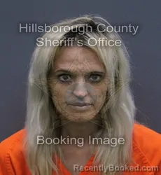 Mugshot of DANIELLE KAZH ZYBACH booked in Hillsborough County, Florida on August 2, 2026