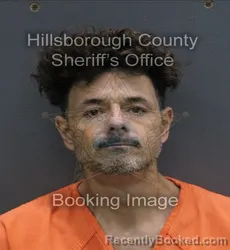 Mugshot of MARK ANTHONY JR DAVIS booked in Hillsborough County, Florida on August 2, 2026