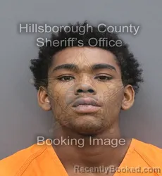 Mugshot of ZYQUAN ERIC LONG booked in Hillsborough County, Florida on August 2, 2026
