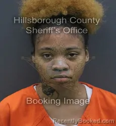 Mugshot of JANIYA NICHOLE BRISTOR booked in Hillsborough County, Florida on August 2, 2026