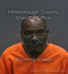 Mugshot of ROBERT JAMES JR MILLER booked in Hillsborough County, Florida on August 2, 2026