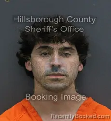 Mugshot of CHRISTOPHER JOSEPH LEONARDI booked in Hillsborough County, Florida on August 2, 2026