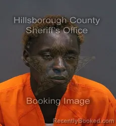 Mugshot of JAIYA LEE booked in Hillsborough County, Florida on August 2, 2026