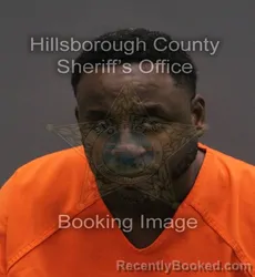 Mugshot of PHILLIP WAYNE MILLER ANDREWS booked in Hillsborough County, Florida on August 2, 2026