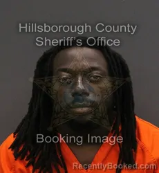 Mugshot of AARON KENDALL THOMAS booked in Hillsborough County, Florida on August 2, 2026