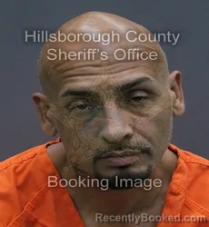 Mugshot of PORFIRIO EDWIN MAISONET booked in Hillsborough County, Florida on August 2, 2026