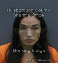 Mugshot of JENNIFER JONI SHAW booked in Hillsborough County, Florida on August 2, 2026