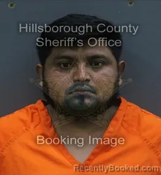 Mugshot of CARLOS FIDEL MAZARIEGOS ALVARADO booked in Hillsborough County, Florida on August 2, 2026