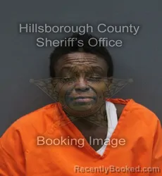 Mugshot of RYNECHIA DESCEMBER FAVORS booked in Hillsborough County, Florida on August 2, 2026